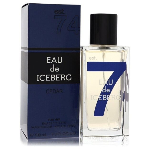 Iceberg